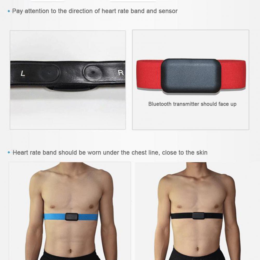 피트니스 센서 긴 배터리 수명 찢어짐 방지 부드러운 가 - Heart Rate Strap Chest 리뷰 및 가격